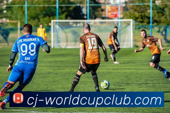 世界杯官方线上平台生态图